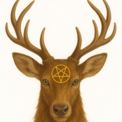 LiveSet FrapCorp4_74_1.1