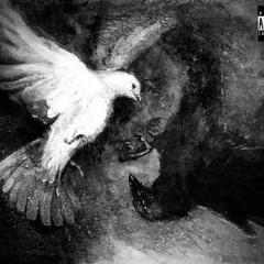 Cros + Doves ft. Neptün