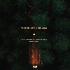 Lost Frequencies & Calum Scott - Where Are You Now(Saypex Remix)