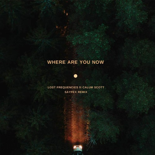 Lost Frequencies & Calum Scott - Where Are You Now(Saypex Remix)