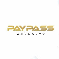 WhyBaby? - PAYPASS (remix by enderadmin)
