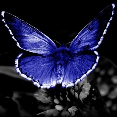 Somehow You [FREE DL]