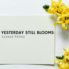 Yesterday Still Blooms