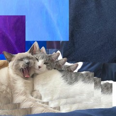 まばたきするように（4/11 at 新宿LOFT BAR）