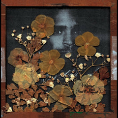 Busdriver