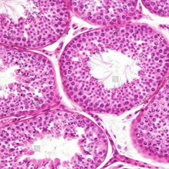 好多功課做 (prod. K4nji)