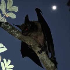 jaskddn x lilvxmp - KANTT (slowed)