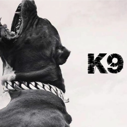 "K9" INSTRUMENTAL TRAP TYPE BEAT
