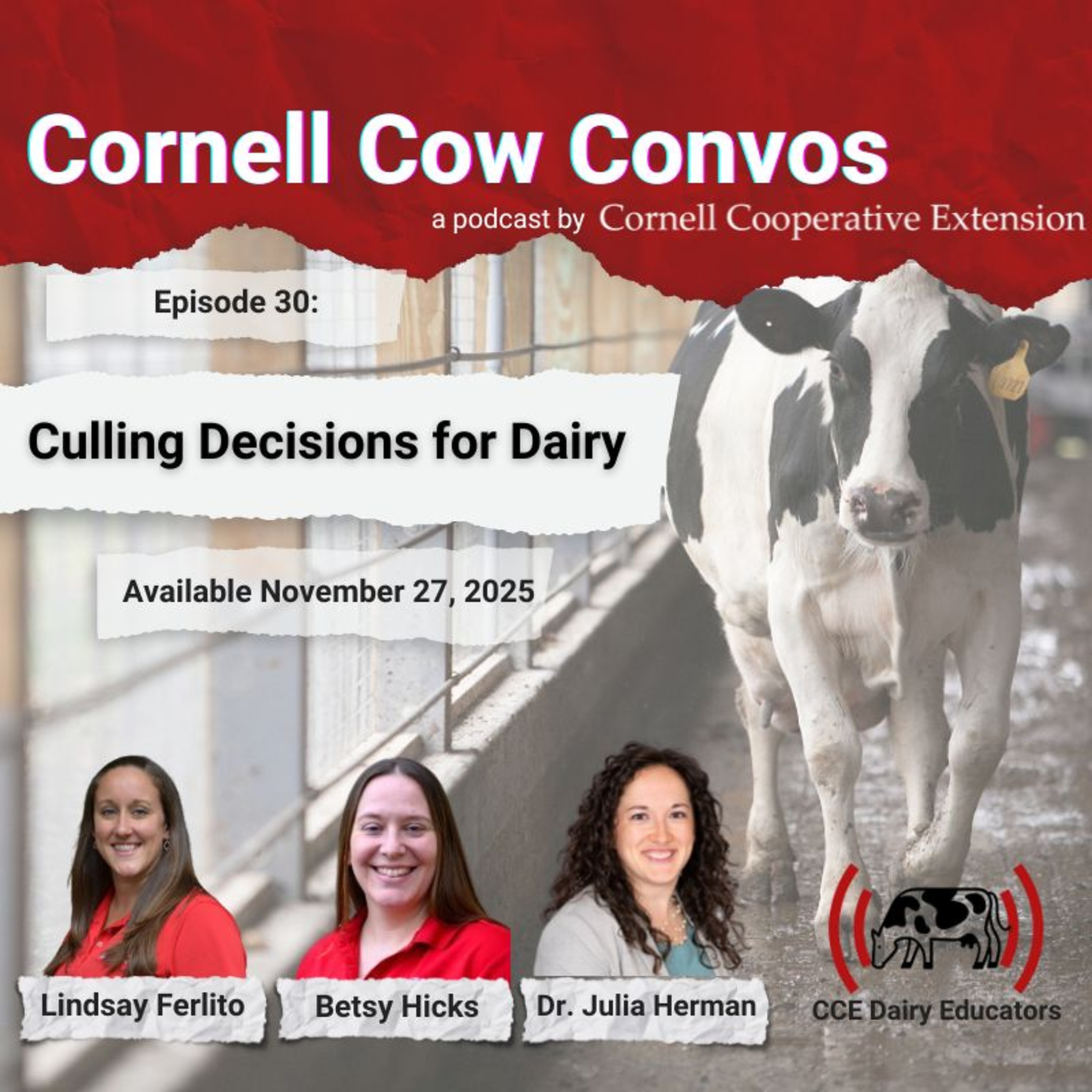 CCE DAIRY EDUCATORS