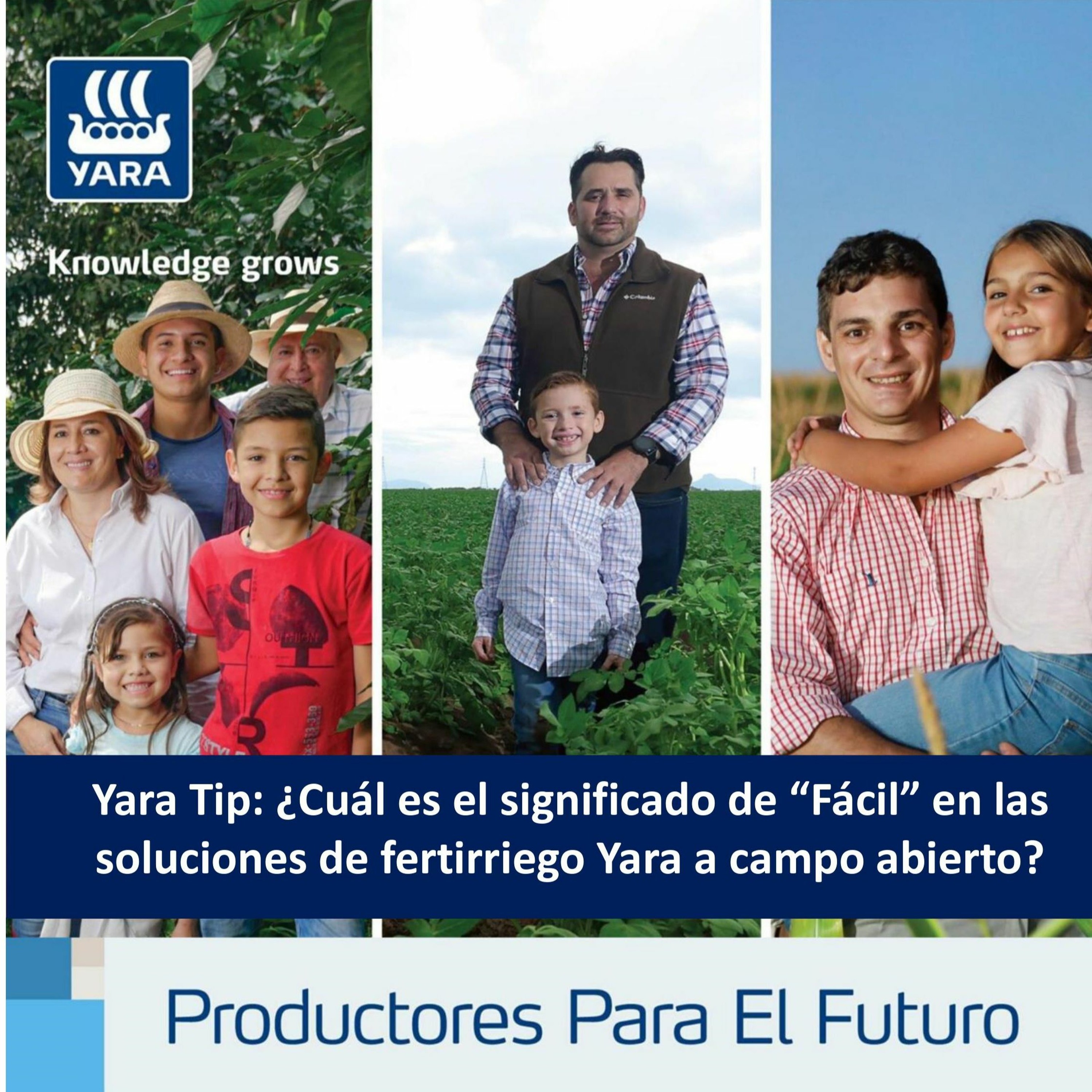 Productores Para El Futuro