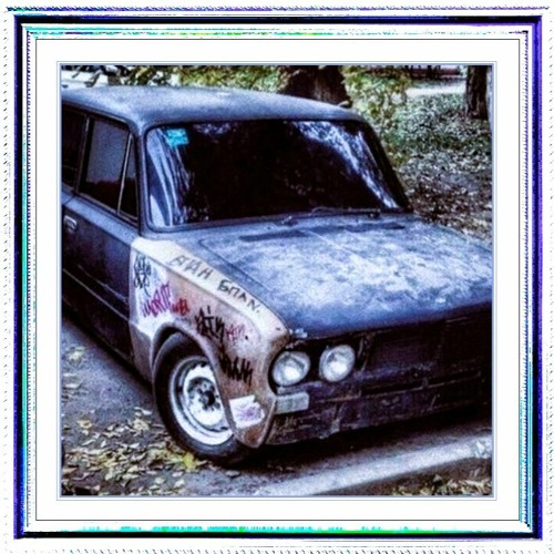 WM🐛#899🪱🪰🪲🪳🦟🦂🕷️🕸️