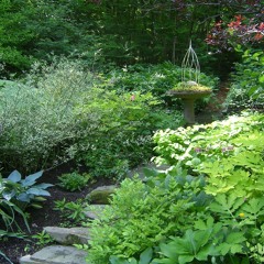 The Naked and Famous - Young Blood | Beautiful piano