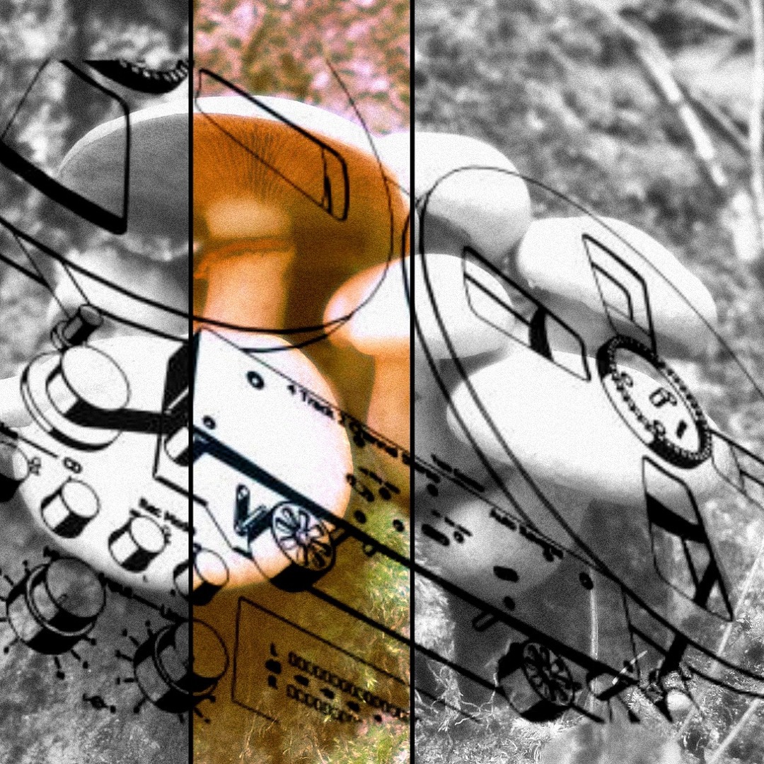 Stream Mushroom Jazz 21 - Mark Farina by OpenLab Radio