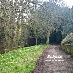Walking in the Woods