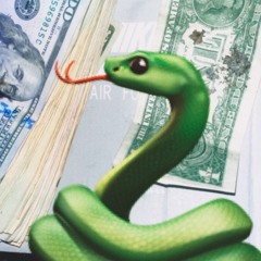SNAKE MUSIK prod.zatru