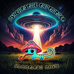 Psychedelic Experience