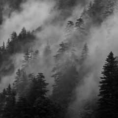 Dark Mountain set 2023