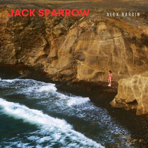 Meryl - Jack Sparrow (ALEX BARDIN Remix)