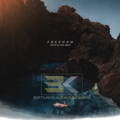 Kygo - Freedom ft. Zak Abel ( Ertugrul Karademir Hardstyle Remix )