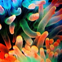 Depth (EXPLOSIVE MIX)