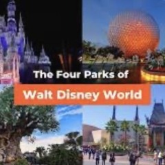Disney world 71-98/23