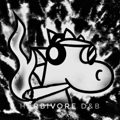 The Pass Master D&B Mix