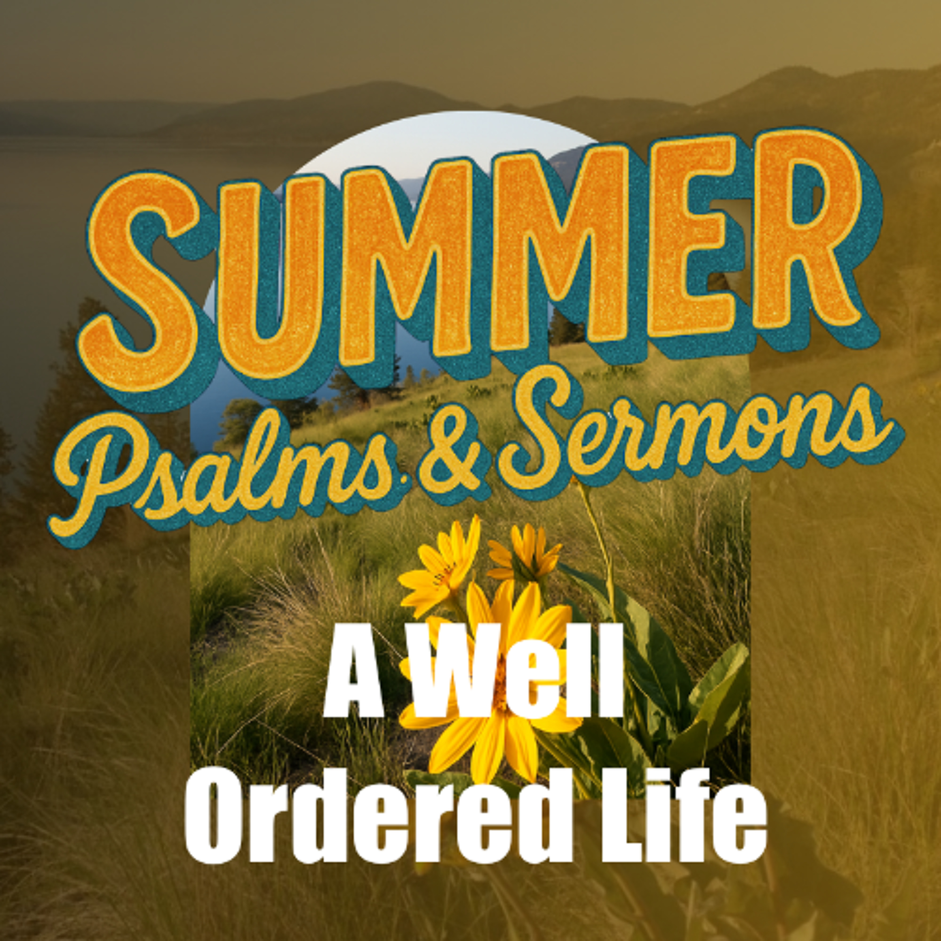 Aug 3/25 | A Well Ordered Life | Proverbs 3:5-6 | Chris Girvan episode artwork