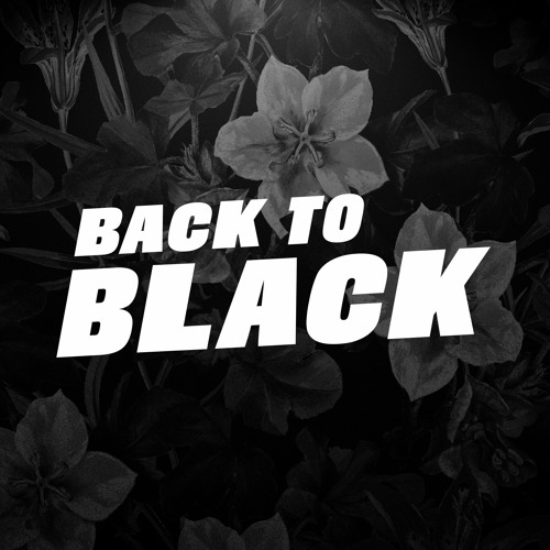 Amy Winehouse - Back To Black(Raphael Siqueira Remix)