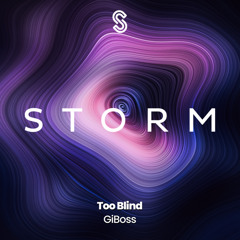 Too Blind (Radio Edit)