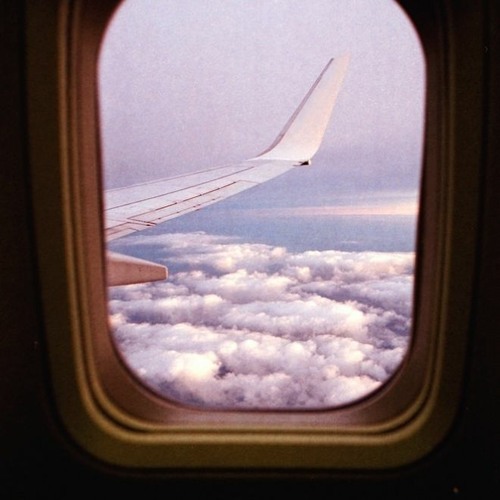 seeing the world through a window