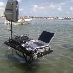 E.R.A. 01: that's jungle