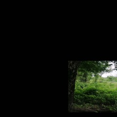 I'm going to put this on my favorite tracklist for my end of the year