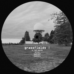 a red panda, Sadisfy, DARCDOT & ALIXI - grassfields !