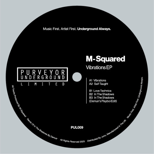 B3 - In The Shadows (Demuir's Playboi Edit)