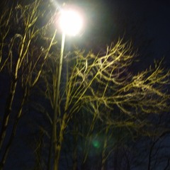 The Night of the Hunter