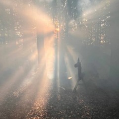 TeamTietze - DreiMalHoch2022 - GrandeFinale