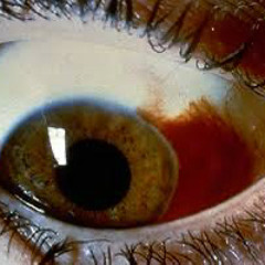 𝐉𝐚𝐲𝐝𝐞𝐬-𝐭𝐡𝐞 𝐦𝐨𝐫𝐞 𝐲𝐨𝐮 𝐤𝐧𝐨𝐰 (𝐬𝐥𝐨𝐰𝐞𝐝)