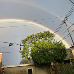 comondown 2025-12-07 1417