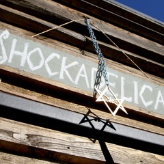 Shockadelica Session Feb 22