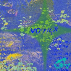 Vortex Mix ✻ Nat Salih