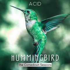 Hummingbird