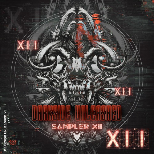 Rob Da Rhythm - Darkside Unleashed Sampler XII Album Mix