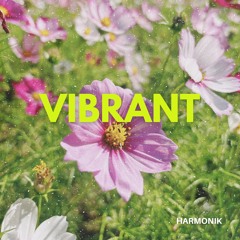 Vibrant (Radio Edit)