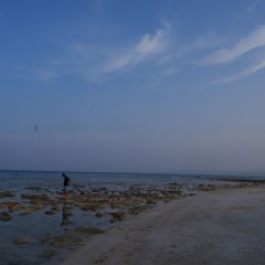 test1