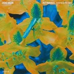 Odd Mob - Intrinsic (Anres Remix)