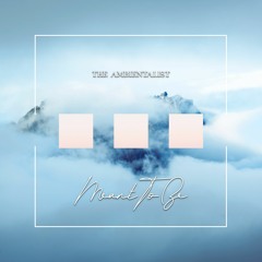 The Ambientalist - Meant To Be