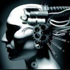Rob Mitshi - Evolved Humans