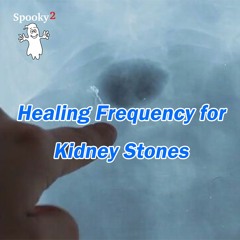 Healing Frequency for Kidney Stones - Spooky2 Rife Healing Frequency