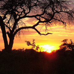 Daybreak