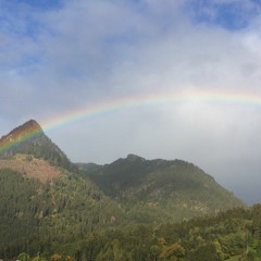 Click, Click, Click, Click